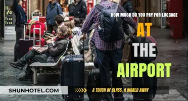 Airport Luggage Fees: What to Expect When You Travel