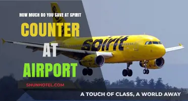 Maximizing Savings at the Spirit Airlines Airport Counter: Tips and Tricks