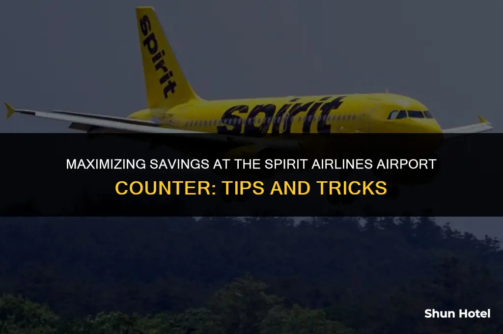 how much do you save at spirit counter at airport