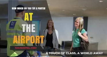 Airport Porter Tipping Guide: How Much is Enough?