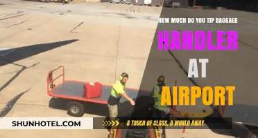 Airport Baggage Handler Tipping Guide: How Much is Enough?