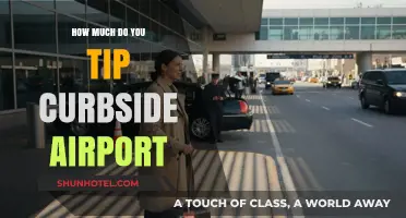 Airport Curbside Etiquette: How Much to Tip for Luggage Assistance?