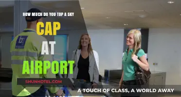 Sky-High Tips: How Much to Top Your Airport Skycap