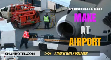 Unveiling the Salary Secrets of Airport Bag Loaders