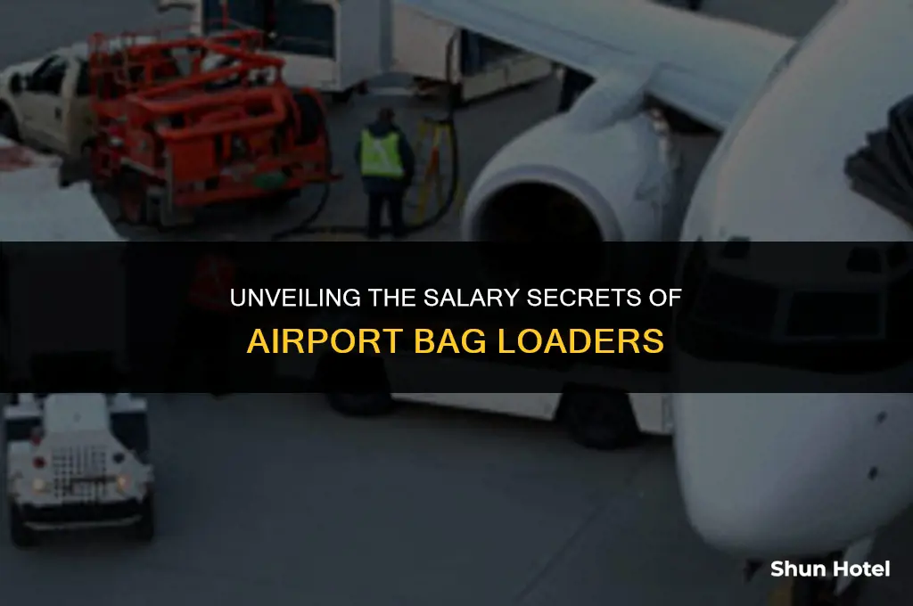 how much does a bag loader make at airport