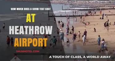COVID Testing at Heathrow: Unraveling the Cost Mystery