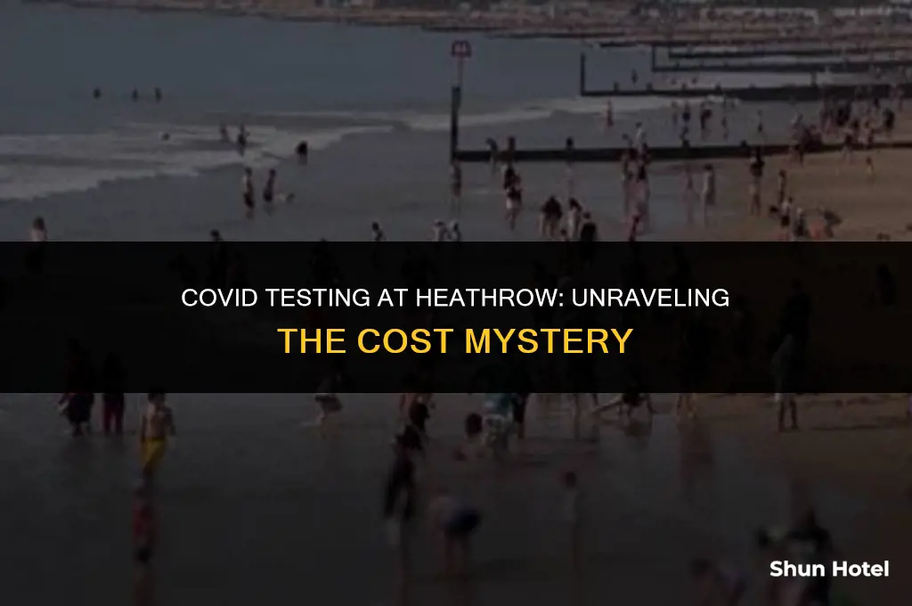 how much does a covid test cost at heathrow airport