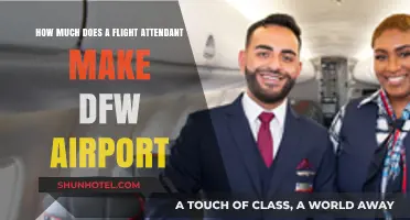 Unveiling the Salary Secrets of DFW Airport Flight Attendants