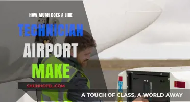 Unveiling the Salary Secrets of Airport Line Technicians