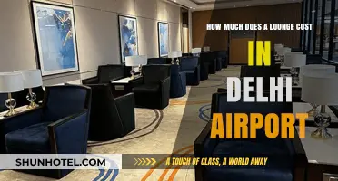 Exploring Delhi Airport Lounges: A Cost Breakdown for Travelers