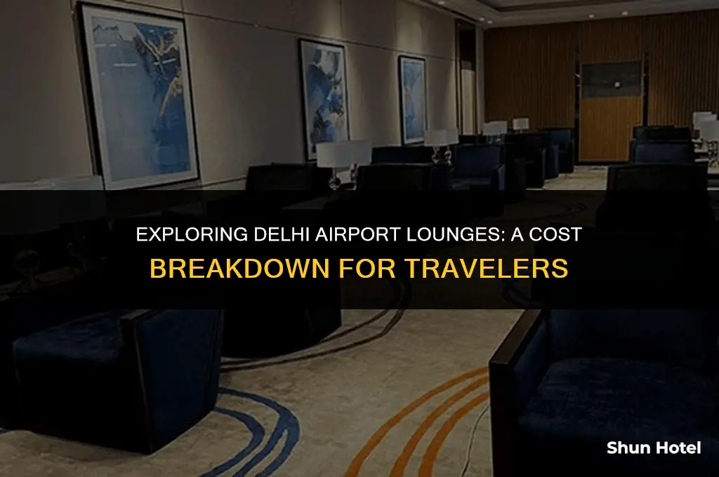 how much does a lounge cost in delhi airport