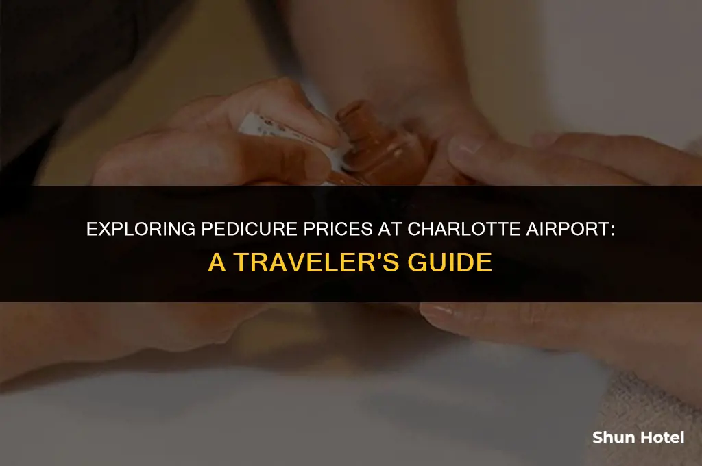 how much does a pedicure at charlotte airport cost