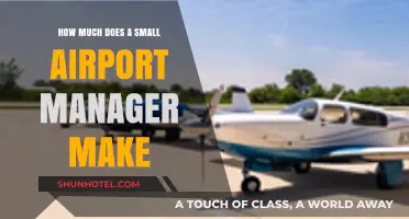 Salary Insights: Small Airport Manager's Annual Compensation Revealed