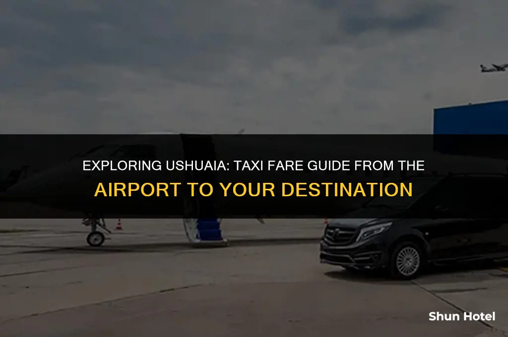 how much does a taxi from the ushuaia airport cost
