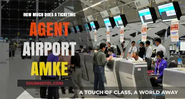 Decoding Airport Ticketing Agent Salaries: A Comprehensive Guide
