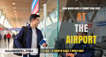 Turkey Visa Costs at the Airport: A Comprehensive Guide for Travelers