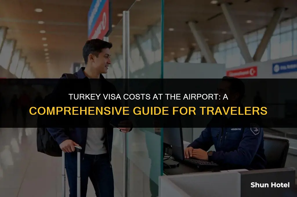 how much does a turkey visa cost at the airport