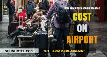 The Hidden Costs of Travel: Unpacking Airport Baggage Fees