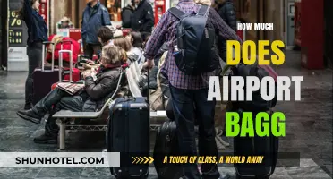 The Cost of Convenience: Airport Baggage Fees Explained