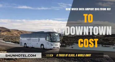 Exploring Reykjavik: Airport Bus Costs to Downtown