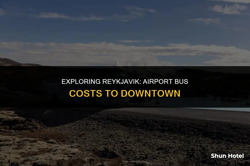 how much does airport bus from kef to downtown cost