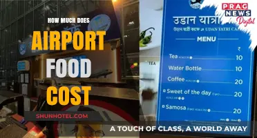 Sky-High Prices: The Cost of Dining at Airports Explained