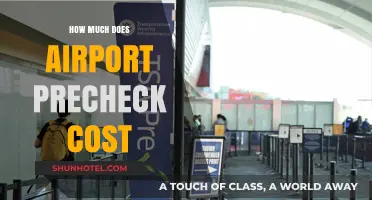 The Cost of Convenience: Airport PreCheck Expenses Explained