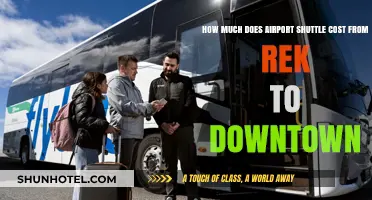 Exploring Shuttle Costs: Rek to Downtown Transportation Guide