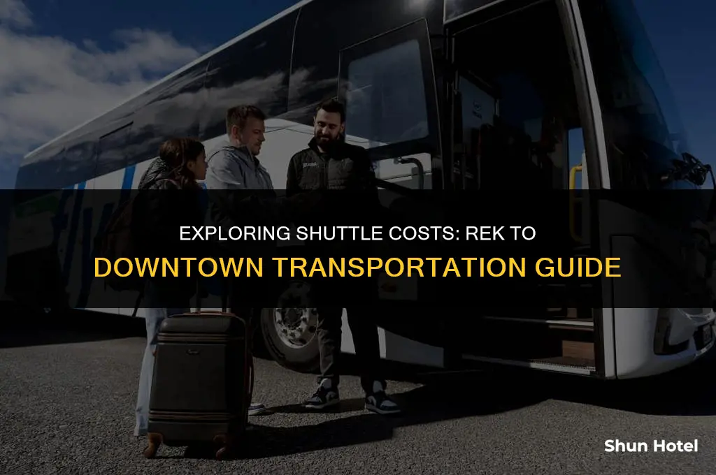 how much does airport shuttle cost from rek to downtown