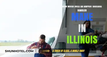 Unveiling the Salary Secrets of Airport Baggage Handlers in Illinois
