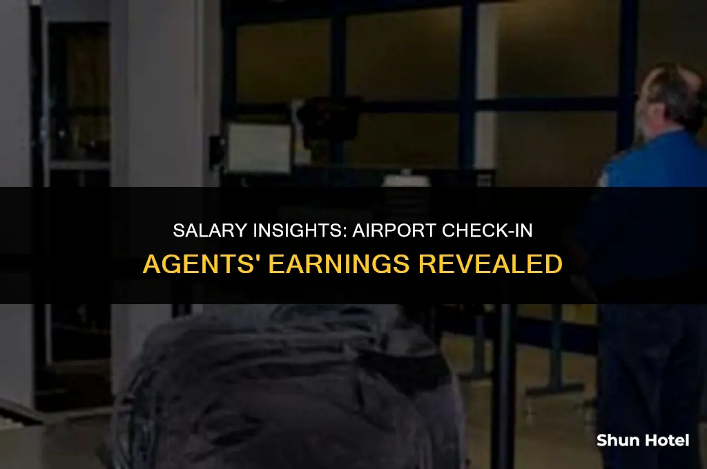 how much does an airport check in person make