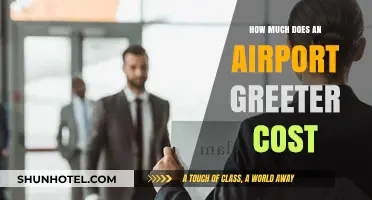 Exploring the Costs: Hiring an Airport Greeter for Smooth Travel