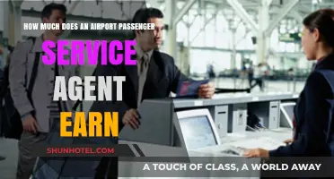 Unveiling the Salary Secrets of Airport Passenger Service Agents