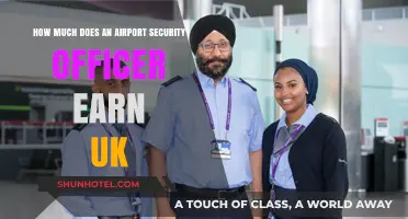 Salary Insights: UK Airport Security Officers' Earnings Revealed