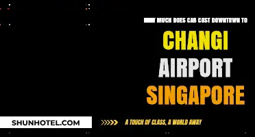 Exploring Singapore: Taxi Fare from Downtown to Changi Airport
