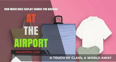 EasyJet Baggage Fees: What to Expect at the Airport
