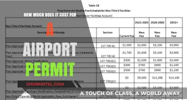 Unlocking the Skies: A Guide to Airport Permit Costs