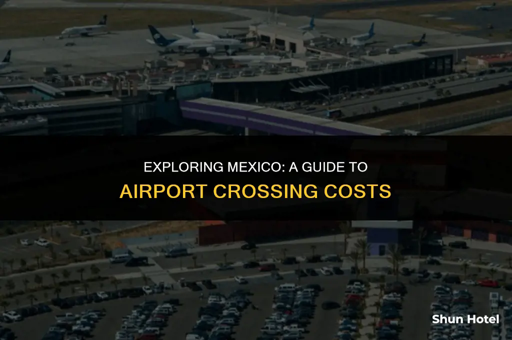 how much does it cost to cross into mexico airport