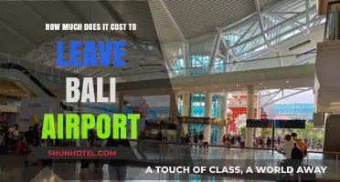 Exploring the Expenses: Departing Bali Airport on a Budget
