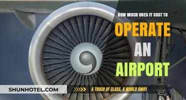 The Hidden Costs of Keeping Airports Up and Running