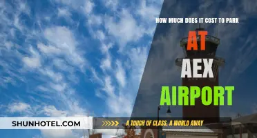 Parking Fees at AEX Airport: What You Need to Know