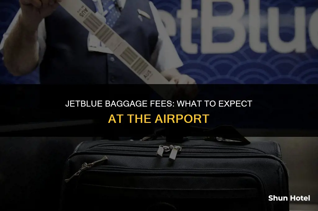 how much does jetblue charge for baggage at the airport