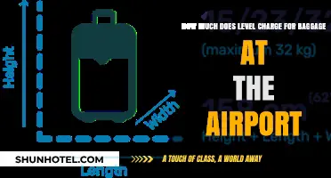 Airport Baggage Fees: Unpacking the Costs of Level's Luggage Policy