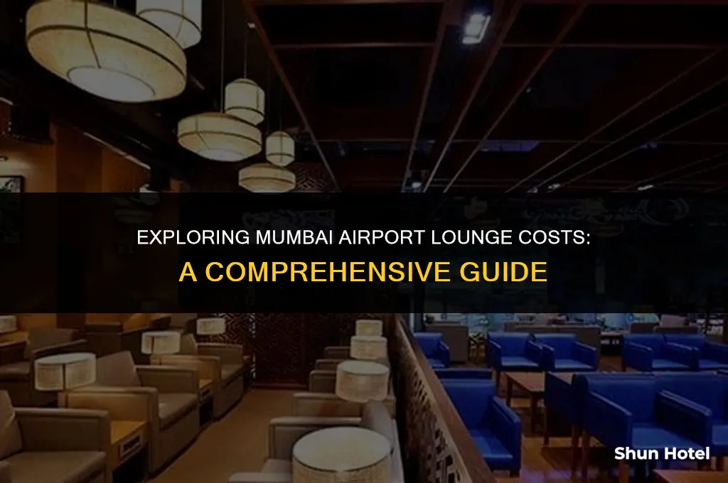 how much does mumbai airport lounge cost