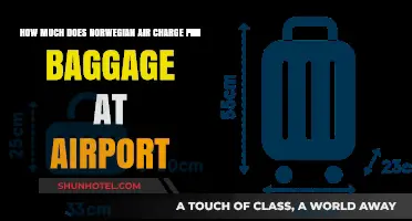 Norwegian Air Baggage Fees: What to Expect at the Airport
