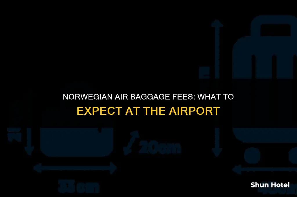 how much does norwegian air charge for baggage at airport
