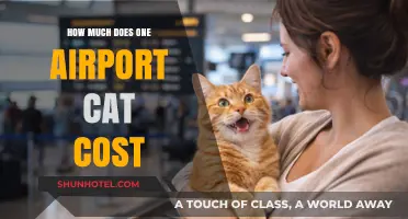 The Purr-fect Price: Unraveling the Cost of an Airport Cat