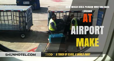 Unloading Luggage at Airports: A Day in the Life and the Pay