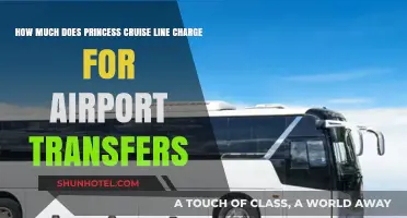 Princess Cruise Line Airport Transfers: Costs and Convenience Explained