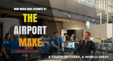 Unveiling Airport Security Salaries: A Comprehensive Guide